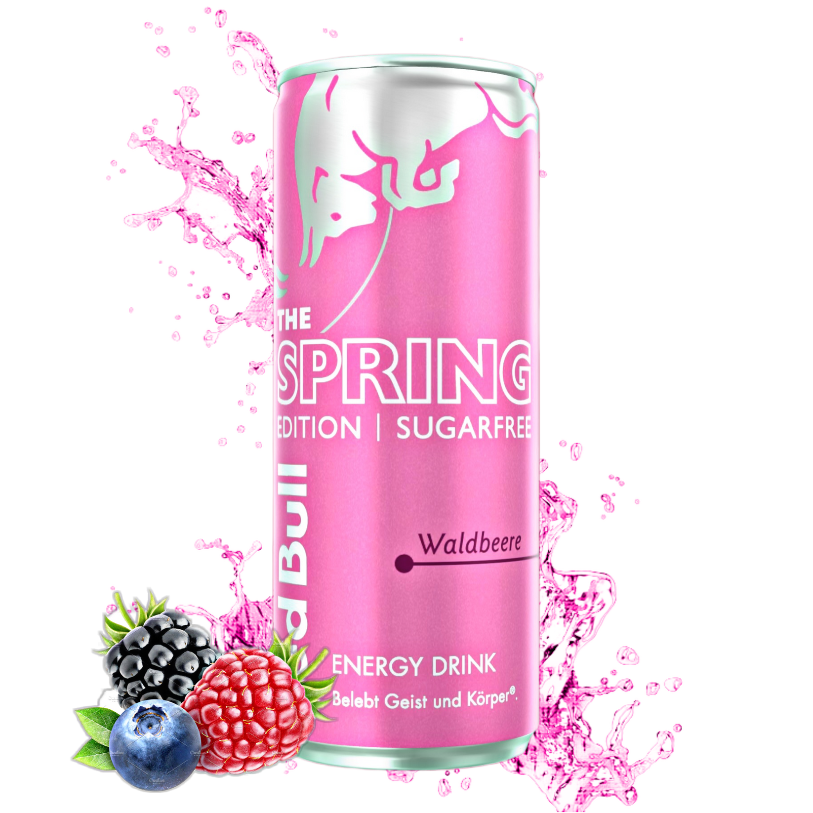 Red Bull The Spring Edition Waldbeere Sugarfree 250ml SnackPrinz